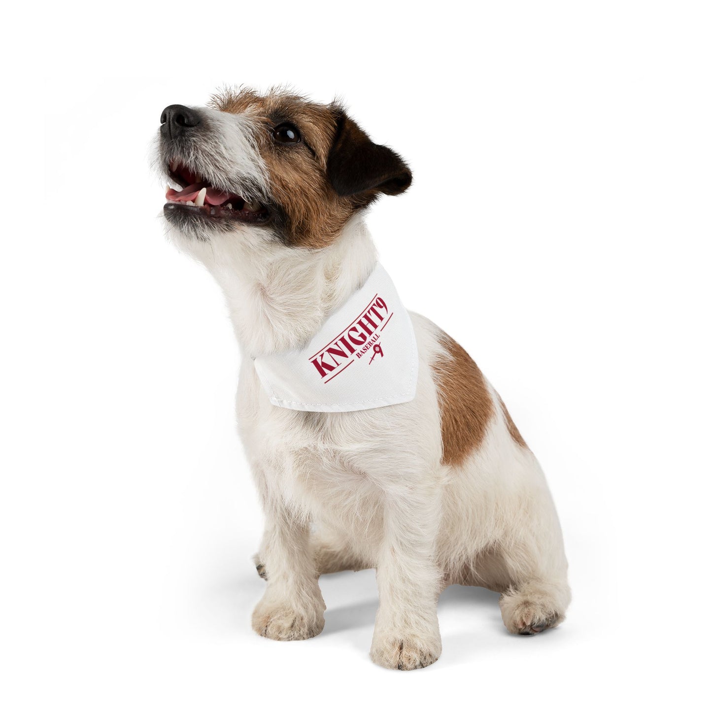 Knight9 Bandana Collar
