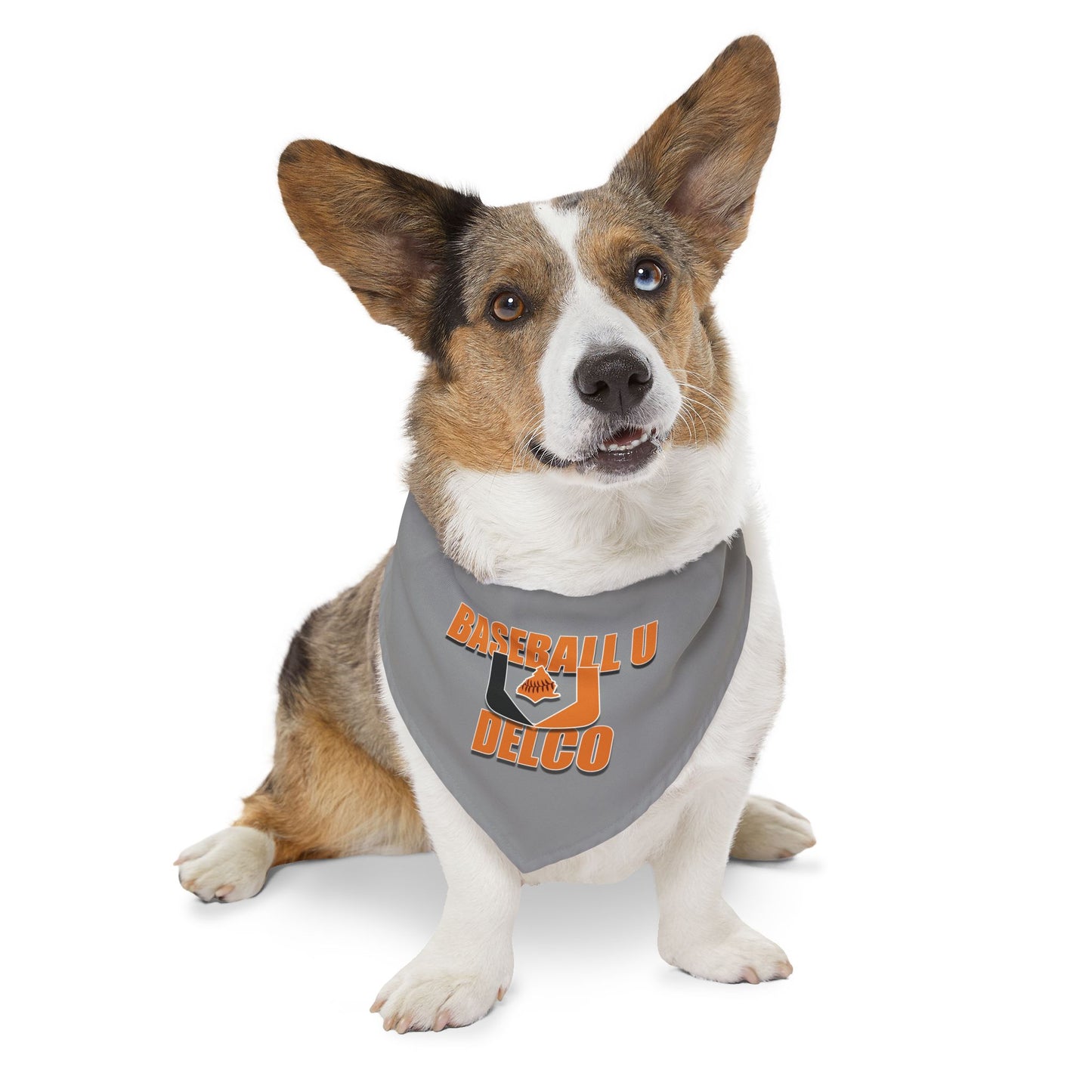 Baseball U Delco Pet Bandana Collar