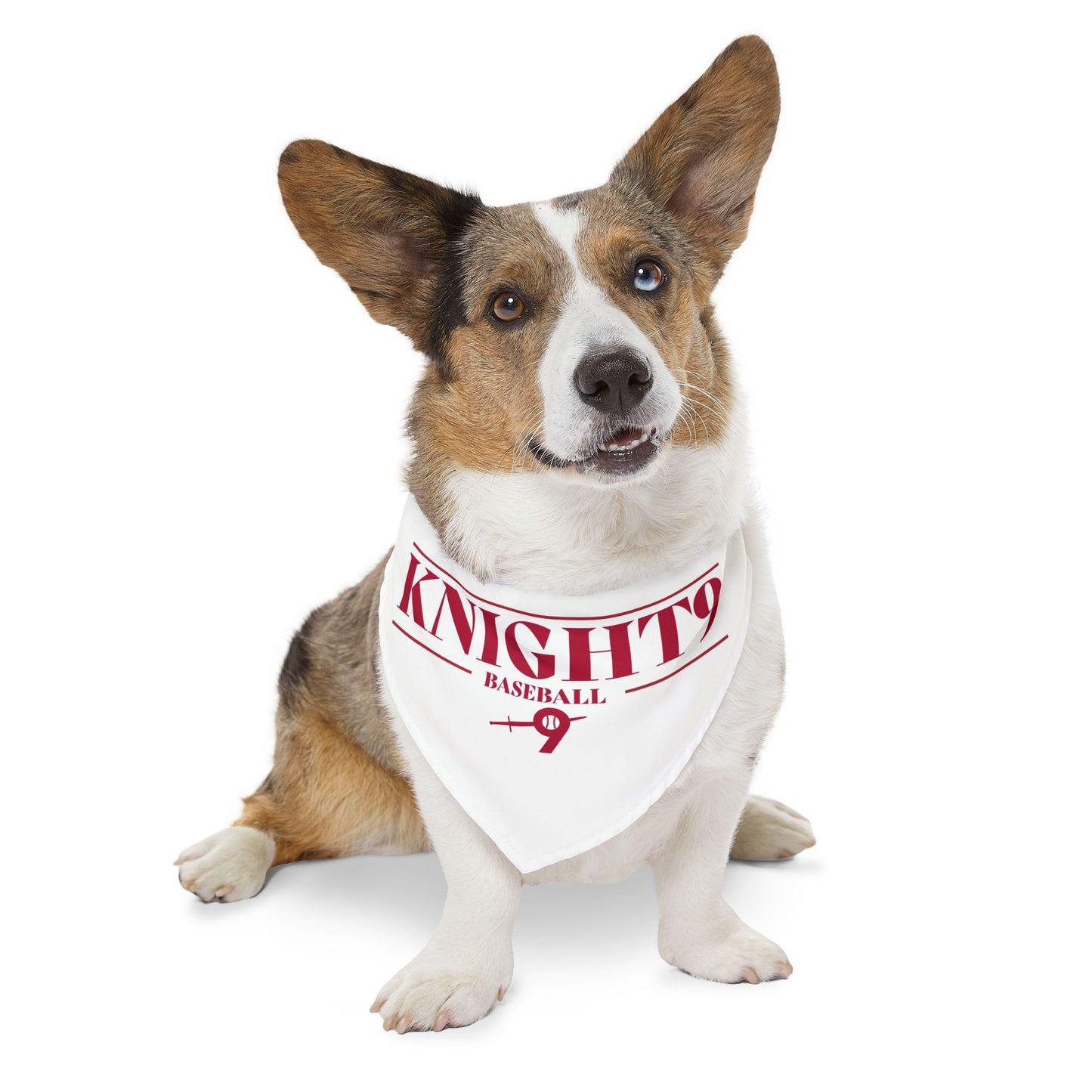 Knight9 Bandana Collar