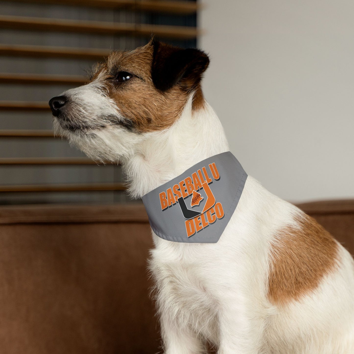 Baseball U Delco Pet Bandana Collar