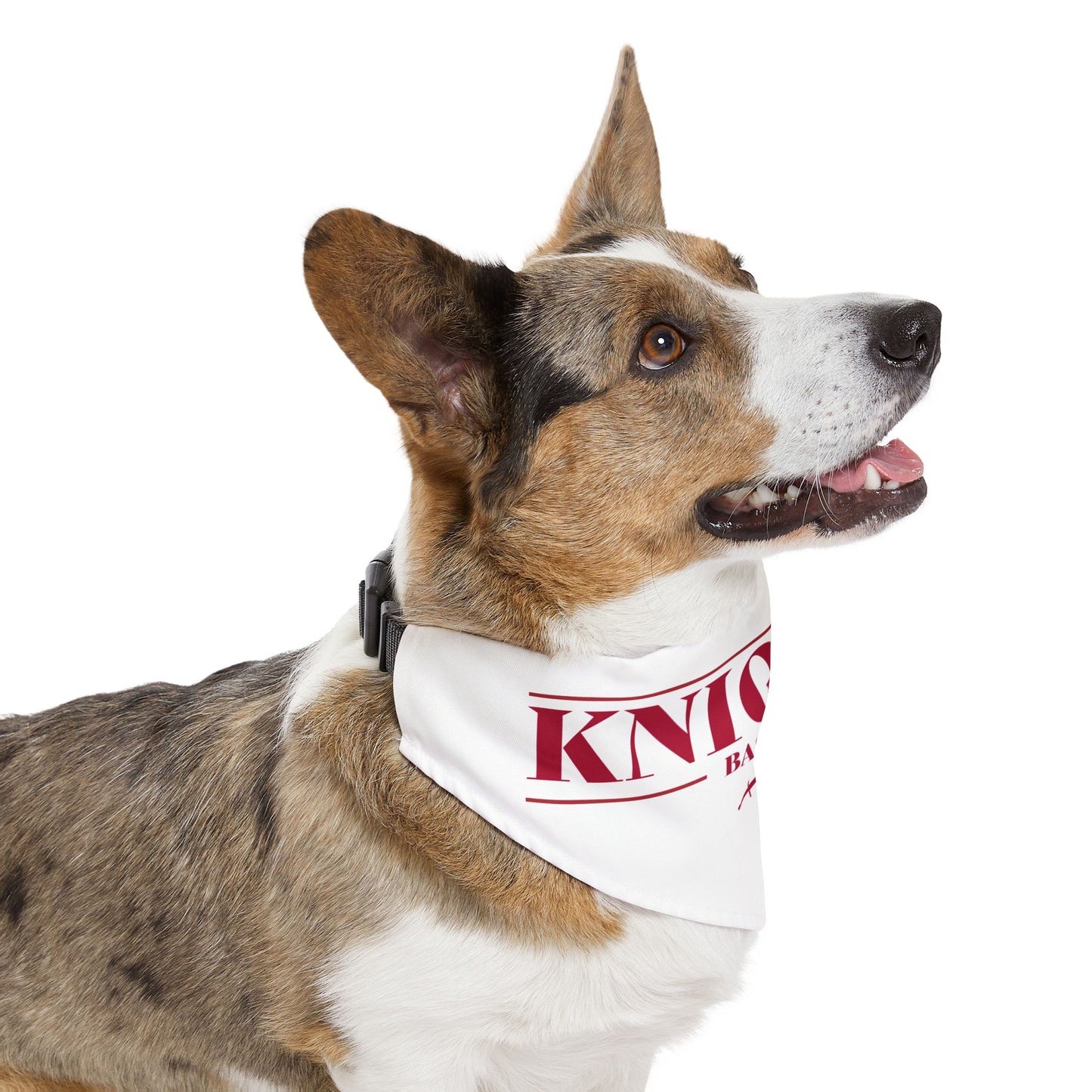Knight9 Bandana Collar