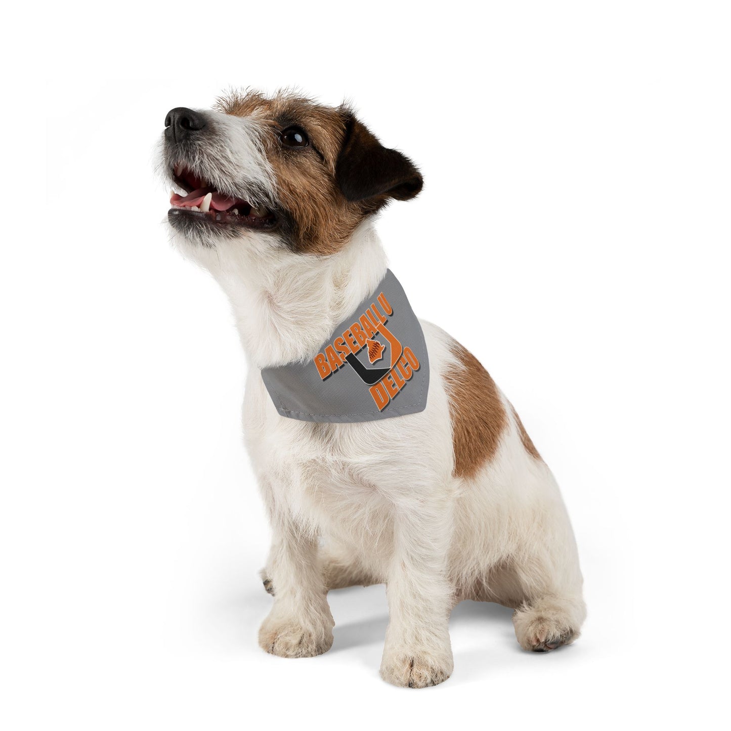 Baseball U Delco Pet Bandana Collar
