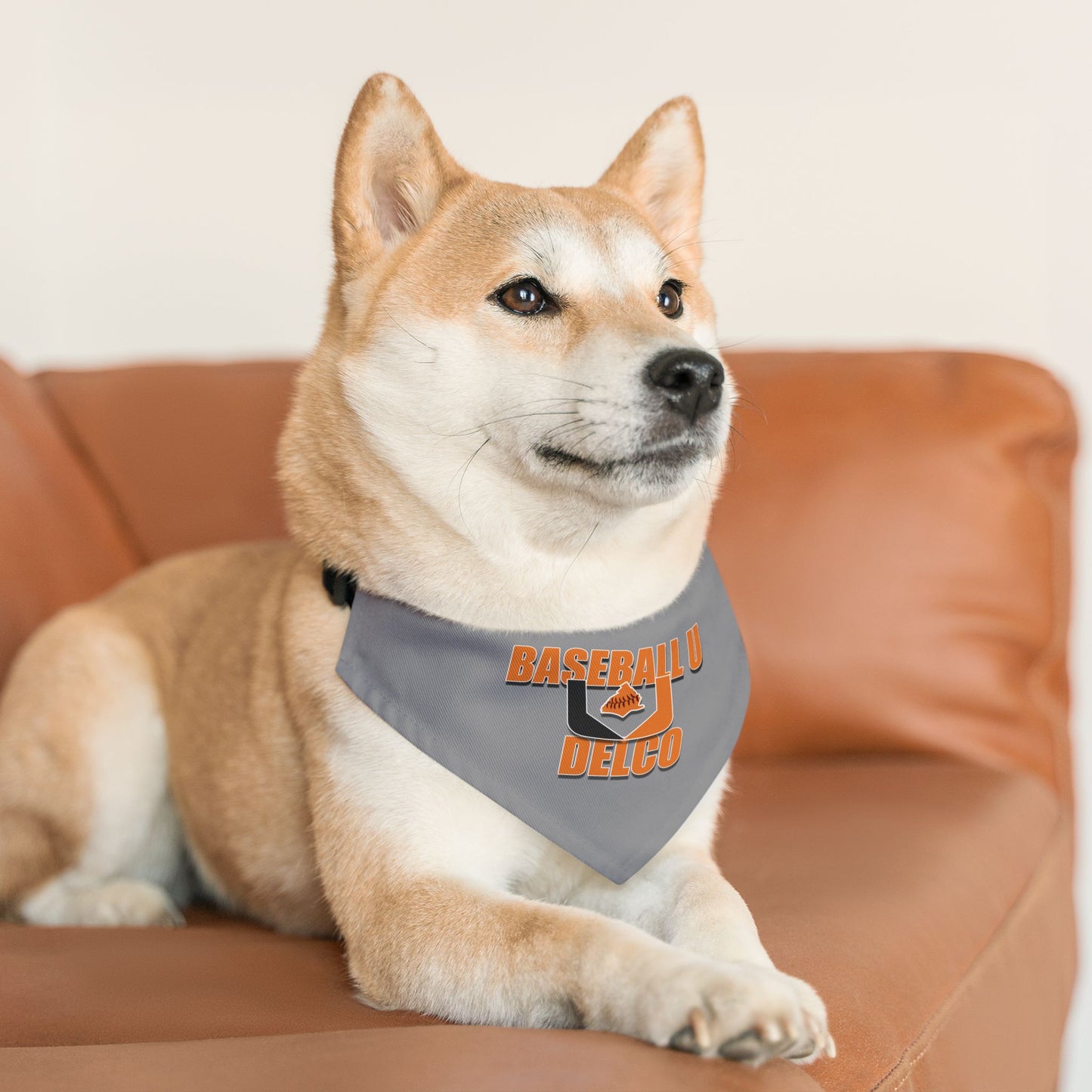 Baseball U Delco Pet Bandana Collar